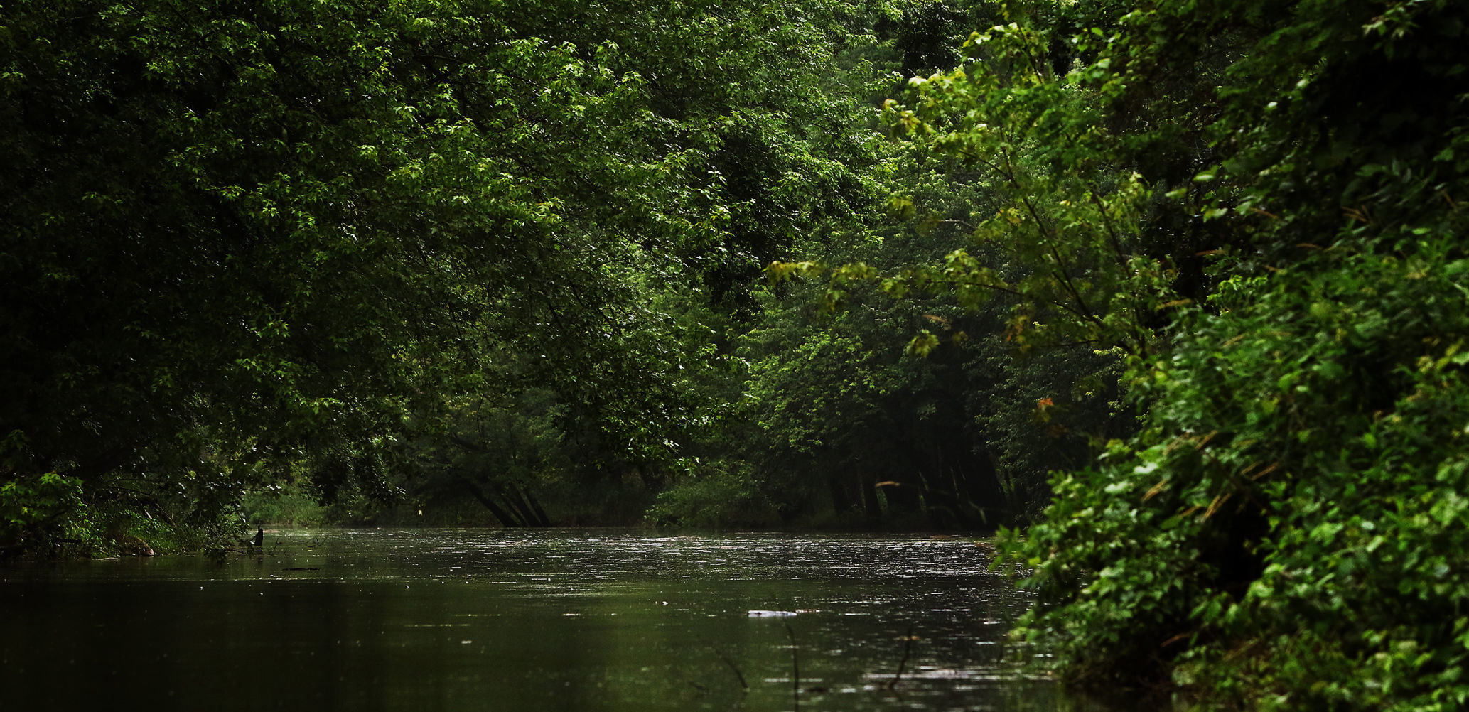 THE GREAT RIVER-0448